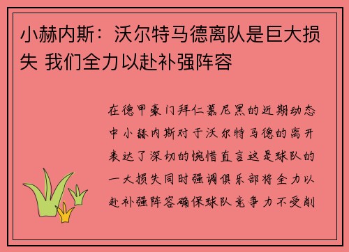 小赫内斯：沃尔特马德离队是巨大损失 我们全力以赴补强阵容